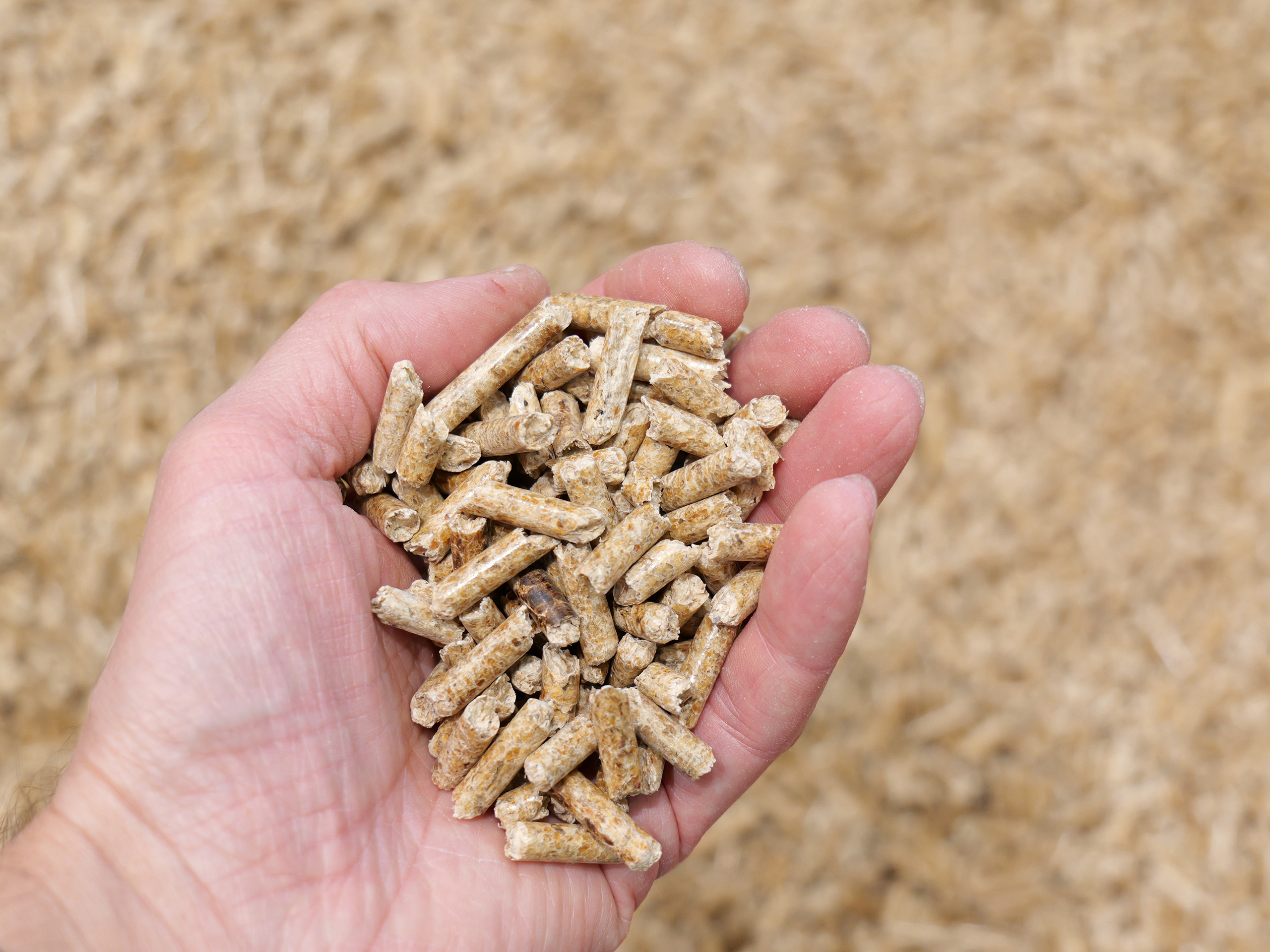 Pelletheizung: Klimafreundlich und dauerhaft günstig